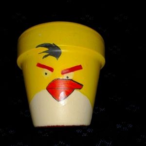 Angry bird flower pot